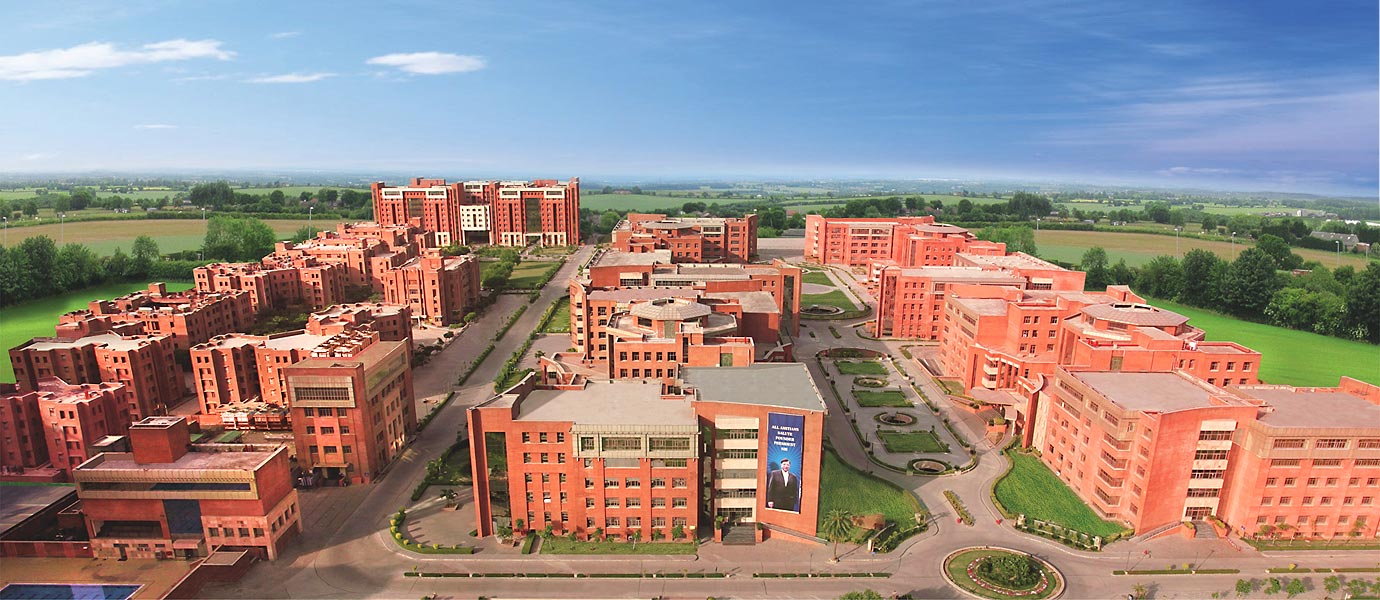Amity University PAN India (O&M)